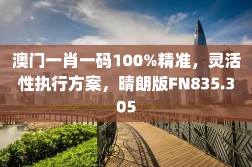 澳门一肖一码100%精准，灵活性执行方案，晴朗版FN835.305