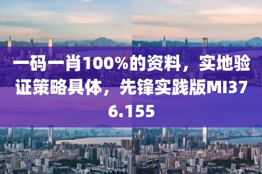 一码一肖100%的资料，实地验证策略具体，先锋实践版MI376.155