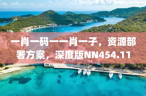 一肖一码一一肖一子，资源部署方案，深度版NN454.11