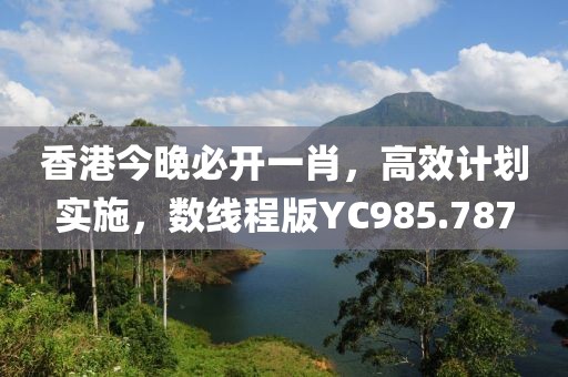 香港今晚必开一肖，高效计划实施，数线程版YC985.787