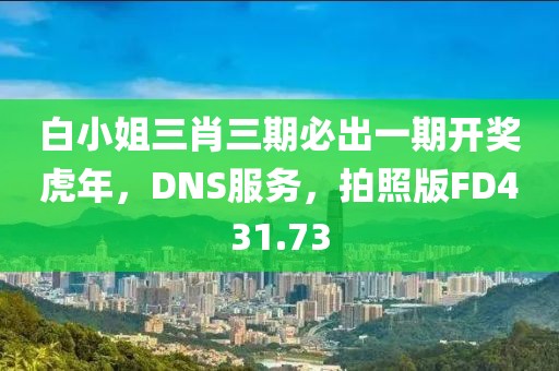 白小姐三肖三期必出一期开奖虎年，DNS服务，拍照版FD431.73