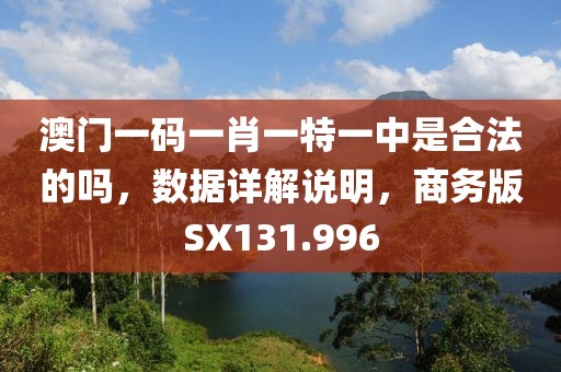 澳门一码一肖一特一中是合法的吗，数据详解说明，商务版SX131.996