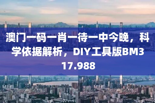 澳门一码一肖一待一中今晚，科学依据解析，DIY工具版BM317.988