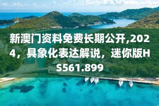 新澳门资料免费长期公开,2024，具象化表达解说，迷你版HS561.899