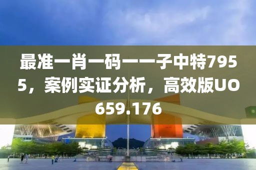 最准一肖一码一一子中特7955，案例实证分析，高效版UO659.176