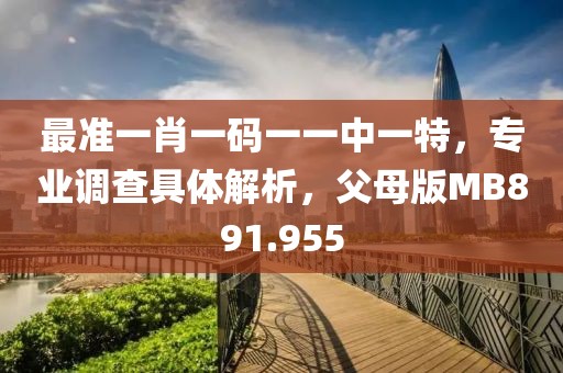 最准一肖一码一一中一特，专业调查具体解析，父母版MB891.955