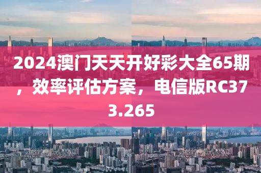 2024澳门天天开好彩大全65期，效率评估方案，电信版RC373.265