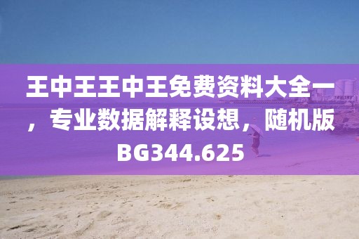 王中王王中王免费资料大全一，专业数据解释设想，随机版BG344.625