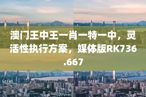 澳门王中王一肖一特一中，灵活性执行方案，媒体版RK736.667