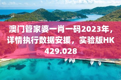 澳门管家婆一肖一码2023年，详情执行数据安援，实验版HK429.028
