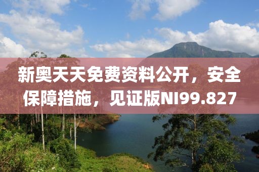新奥天天免费资料公开，安全保障措施，见证版NI99.827