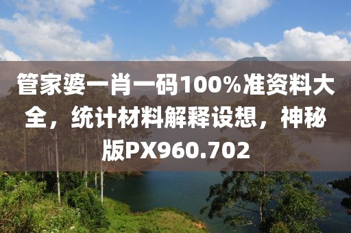 管家婆一肖一码100%准资料大全，统计材料解释设想，神秘版PX960.702