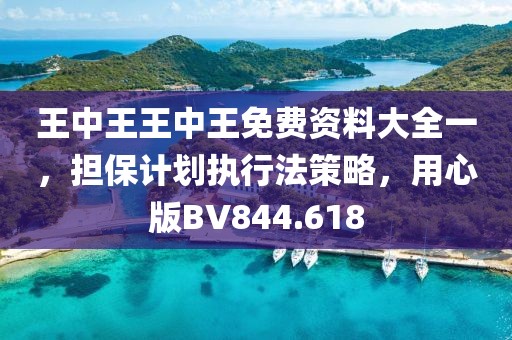 王中王王中王免费资料大全一，担保计划执行法策略，用心版BV844.618
