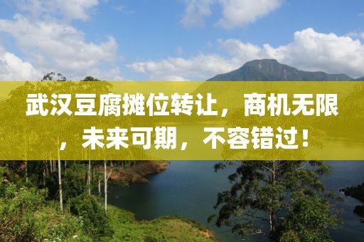 武汉豆腐摊位转让，商机无限，未来可期，不容错过！