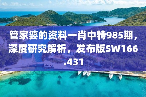 管家婆的资料一肖中特985期，深度研究解析，发布版SW166.431