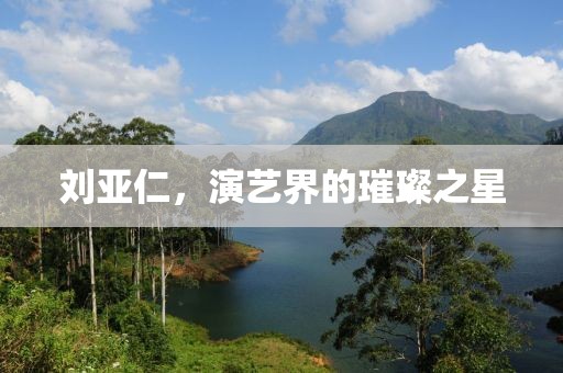 刘亚仁，演艺界的璀璨之星