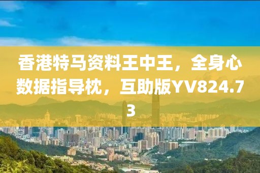 香港特马资料王中王，全身心数据指导枕，互助版YV824.73