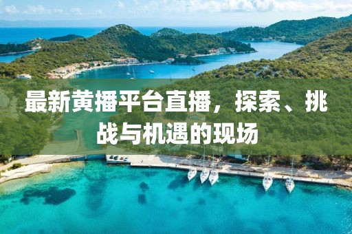 最新黄播平台直播，探索、挑战与机遇的现场
