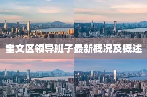 奎文区领导班子最新概况及概述
