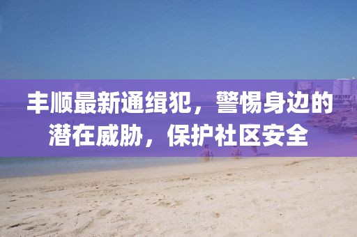 丰顺最新通缉犯，警惕身边的潜在威胁，保护社区安全