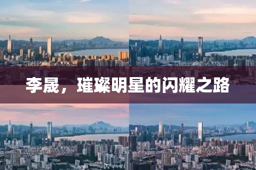 李晟，璀璨明星的闪耀之路