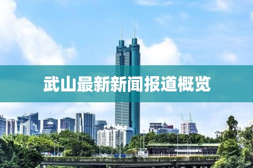 武山最新新闻报道概览