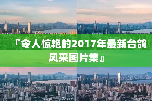 『令人惊艳的2017年最新台鸽风采图片集』