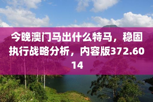 今晚澳门马出什么特马，稳固执行战略分析，内容版372.6014