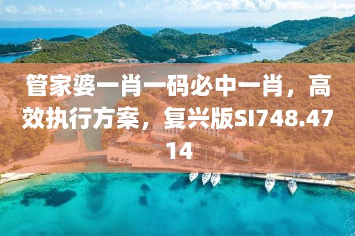 管家婆一肖一码必中一肖，高效执行方案，复兴版SI748.4714