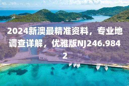 2024新澳最精准资料，专业地调查详解，优雅版NJ246.9842