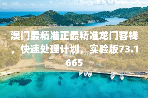澳门最精准正最精准龙门客栈，快速处理计划，实验版73.1665