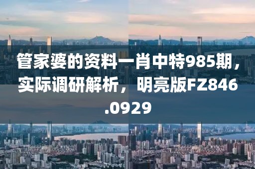 管家婆的资料一肖中特985期，实际调研解析，明亮版FZ846.0929
