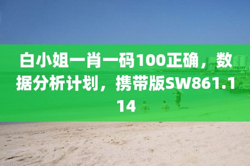 白小姐一肖一码100正确，数据分析计划，携带版SW861.114