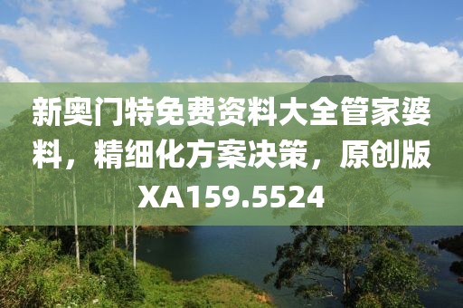 新奥门特免费资料大全管家婆料，精细化方案决策，原创版XA159.5524