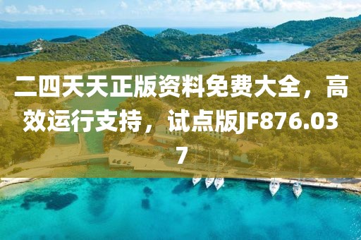 二四天天正版资料免费大全，高效运行支持，试点版JF876.037