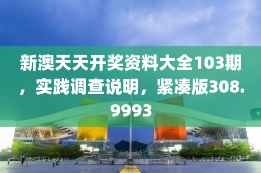 新澳天天开奖资料大全103期，实践调查说明，紧凑版308.9993