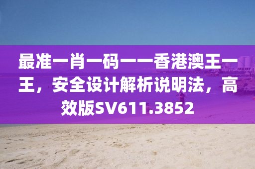最准一肖一码一一香港澳王一王，安全设计解析说明法，高效版SV611.3852