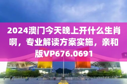2024澳门今天晚上开什么生肖啊，专业解读方案实施，亲和版VP676.0691
