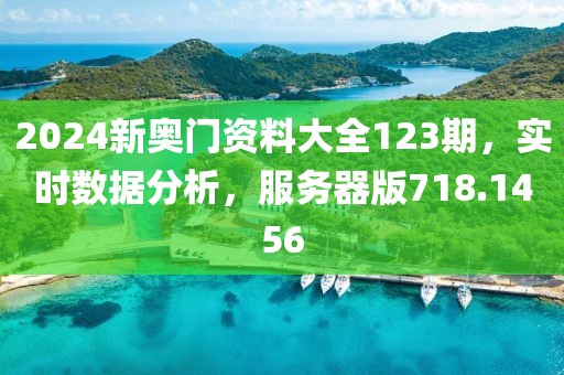 2024新奥门资料大全123期，实时数据分析，服务器版718.1456