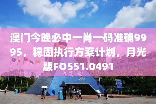 澳门今晚必中一肖一码准确9995，稳固执行方案计划，月光版FO551.0491