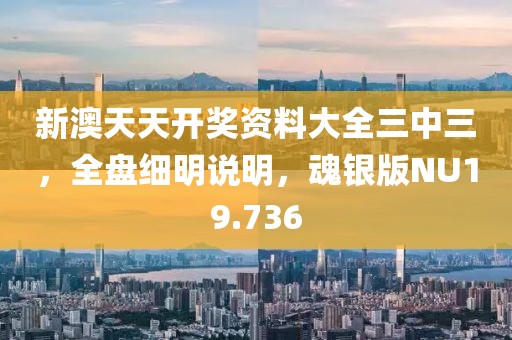 新澳天天开奖资料大全三中三，全盘细明说明，魂银版NU19.736