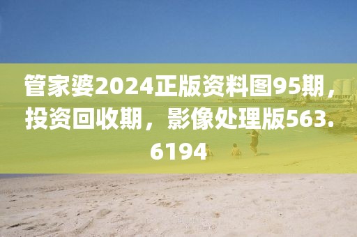 管家婆2024正版资料图95期，投资回收期，影像处理版563.6194