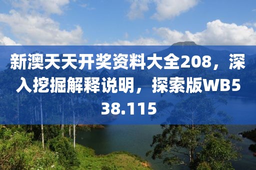 新澳天天开奖资料大全208，深入挖掘解释说明，探索版WB538.115