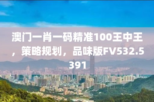 澳门一肖一码精准100王中王，策略规划，品味版FV532.5391