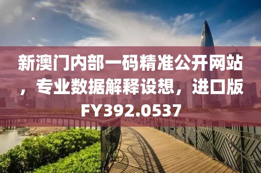 新澳门内部一码精准公开网站，专业数据解释设想，进口版FY392.0537
