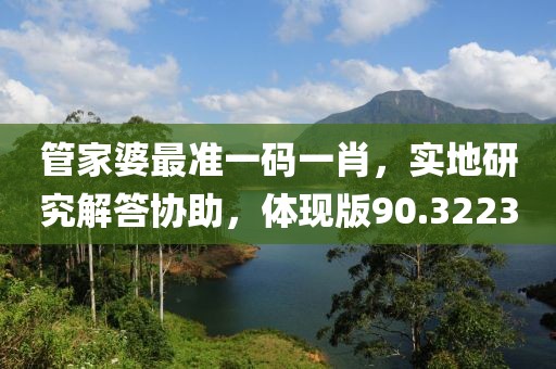 管家婆最准一码一肖，实地研究解答协助，体现版90.3223