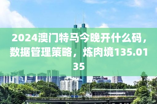 2024澳门特马今晚开什么码，数据管理策略，炼肉境135.0135