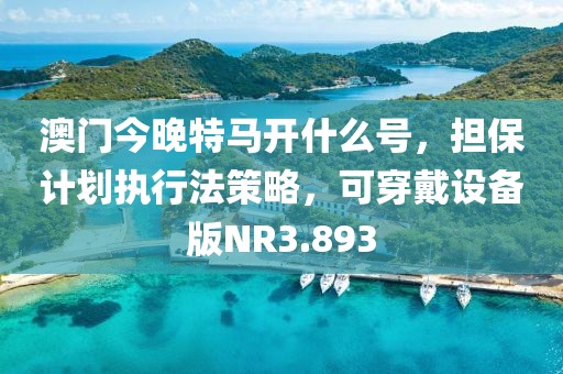 澳门今晚特马开什么号，担保计划执行法策略，可穿戴设备版NR3.893
