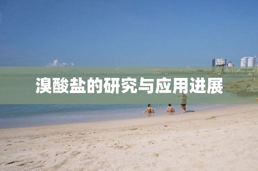 溴酸盐的研究与应用进展