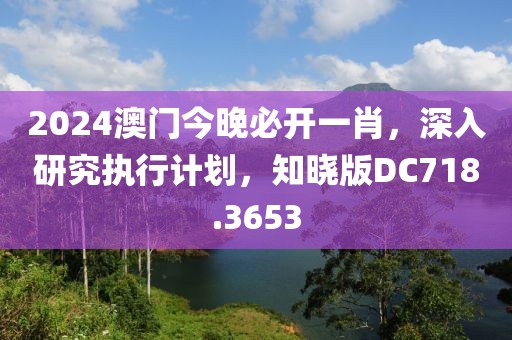 2024澳门今晚必开一肖，深入研究执行计划，知晓版DC718.3653
